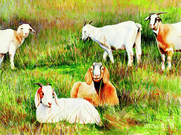 Roseville Art Print featuring the painting #294 Roseville Goats #294 by William Lum