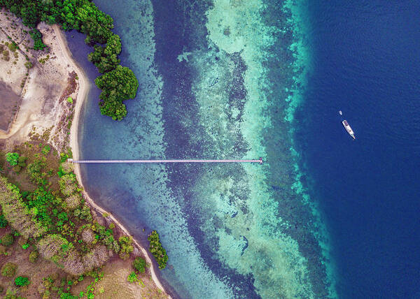  Art Print featuring the photograph Komodo National Park #3 by Evgeny Vasenev