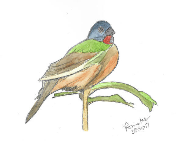 Ronnie Maum Art Print featuring the mixed media Painted Bunting #3 by Ronnie Maum
