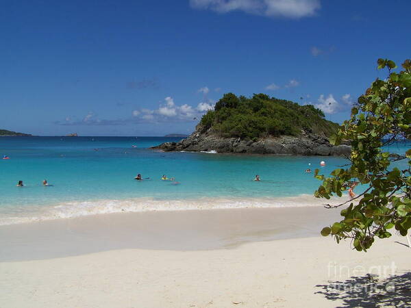 Usvi Art Print featuring the photograph Trunk Bay #3 by Carol Bradley