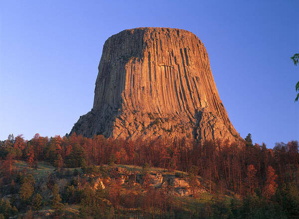 00173535 Art Print featuring the photograph Devils Tower National Monument Showing #4 by Tim Fitzharris