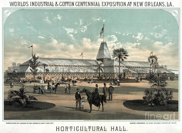 1884 Art Print featuring the drawing New Orleans, Fair, 1884. #4 by Granger