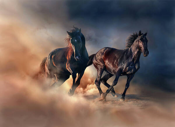 Horses Art Print featuring the digital art Two horses #4 by Lilia S