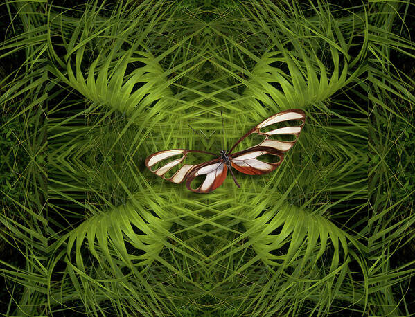 Flora Art Print featuring the photograph 4501 by Peter Holme III