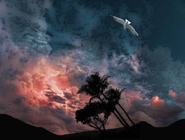 Sea Gull Art Print featuring the photograph 4528 by Peter Holme III