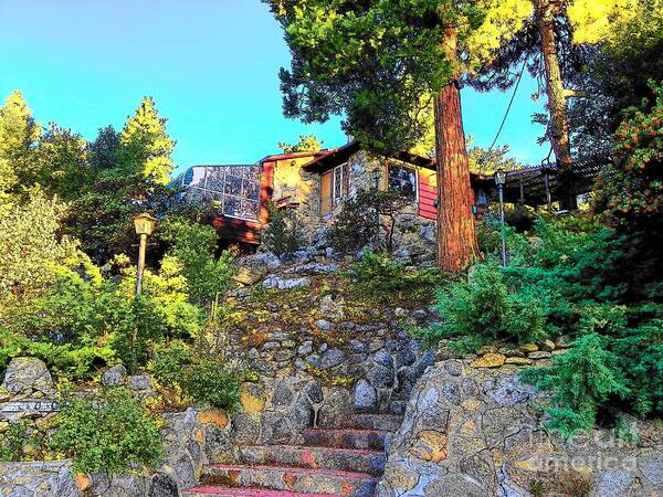  Art Print featuring the photograph Idyllwild - Houses on the Hill #5 by Lisa Dunn