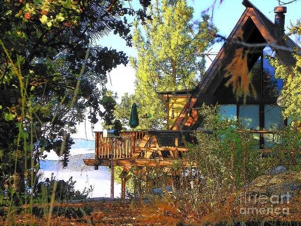  Art Print featuring the photograph Idyllwild - Houses on the Hill #8 by Lisa Dunn