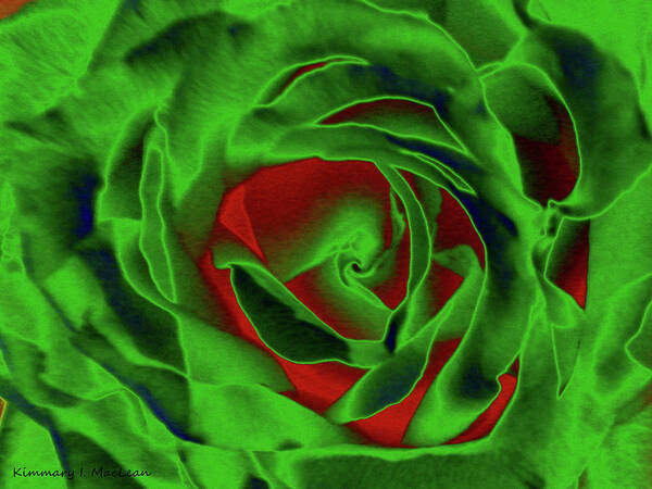 Rose Art Print featuring the digital art A Complimentary Rose by Kimmary MacLean