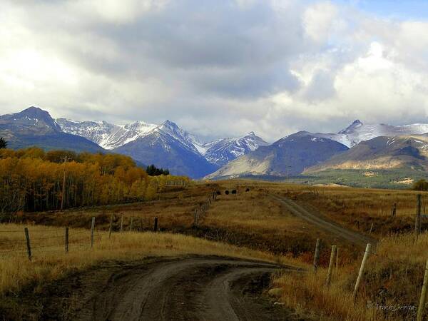 Country Road Art Print featuring the photograph A Country Road to the Mountains by Tracey Vivar