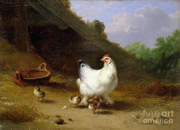 Hen Art Print featuring the painting A hen with her chicks by Eugene Joseph Verboeckhoven