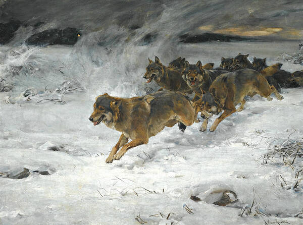 Alfred Kowalski Art Print featuring the painting A Pack of Wolves by Alfred Kowalski