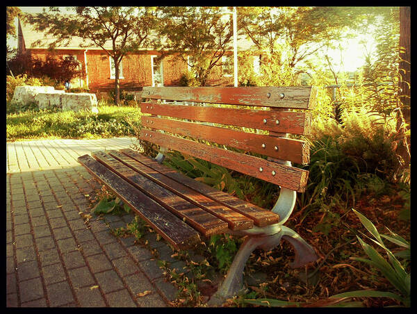 Bench Art Print featuring the photograph A Restful Respite by Shawn Dall