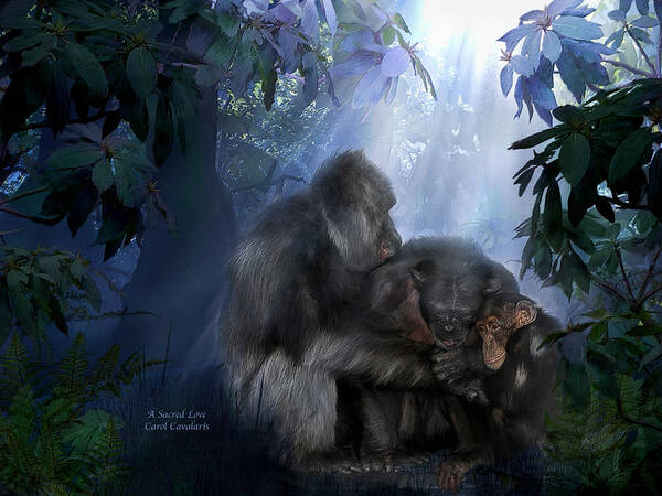 Gorilla Art Print featuring the mixed media A Sacred Love by Carol Cavalaris