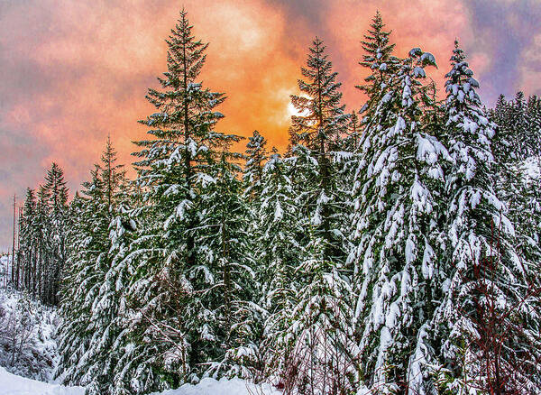 Sunset Art Print featuring the photograph A winters sky set ablaze by Jason Brooks