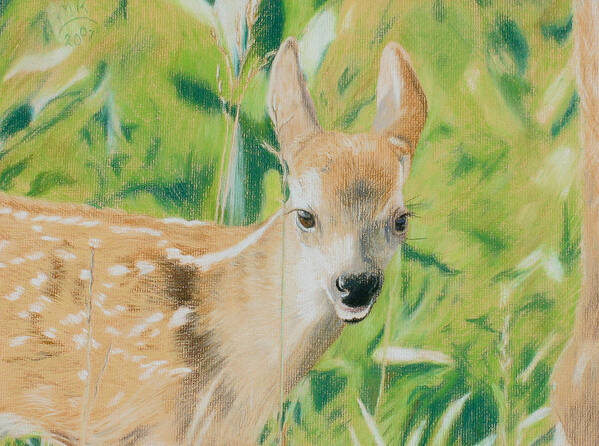 Fawn Art Print featuring the painting Alert Fawn by Miriam A Kilmer