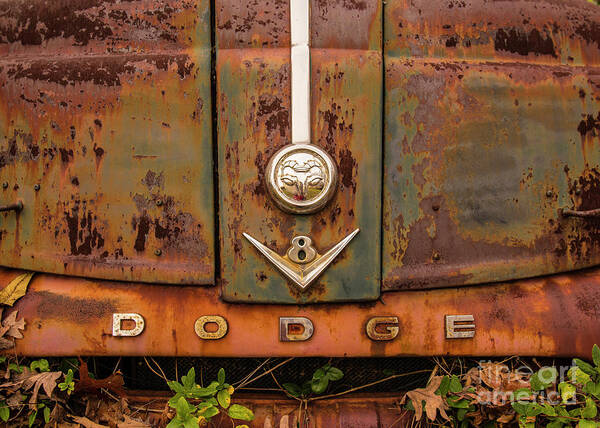 Dodge Art Print featuring the photograph Dodge I by Terry Rowe