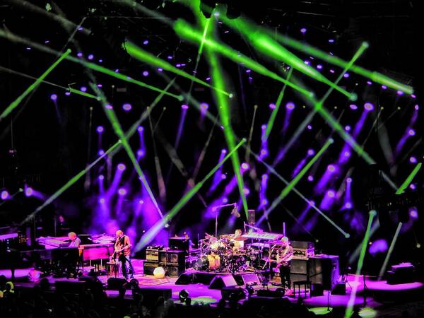 Phish Art Print featuring the photograph Alpine Phish by David Powell