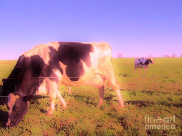 Cow Art Print featuring the photograph Cows Grazing - Amazing Graze by Susan Carella
