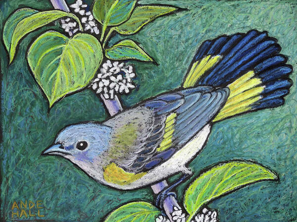 American Redstart Art Print featuring the painting American Redstart Female by Ande Hall