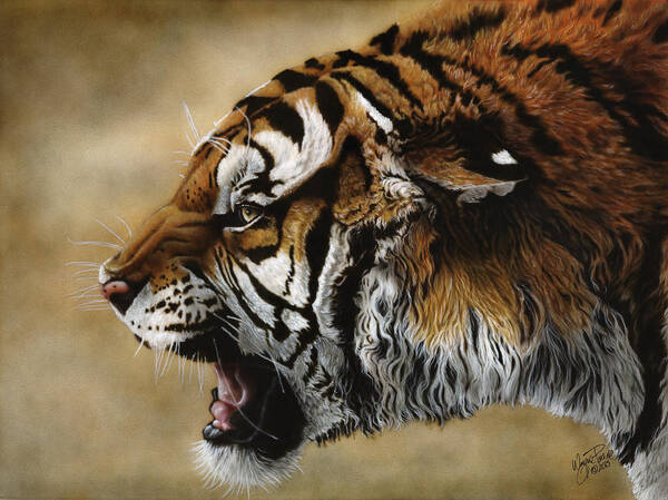  Art Print featuring the painting Angry Siberian by Wayne Pruse