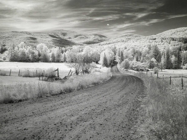 Infrared Art Print featuring the photograph Any road can take you there by John Rivera