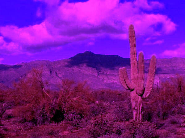 Arizona Art Print featuring the photograph Arizona Purple Haze by Judy Kennedy
