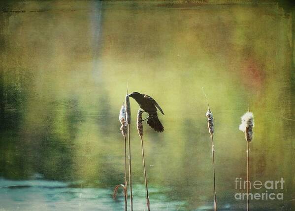 Aimelle Photography Art Print featuring the photograph At This Moment by Aimelle Ml