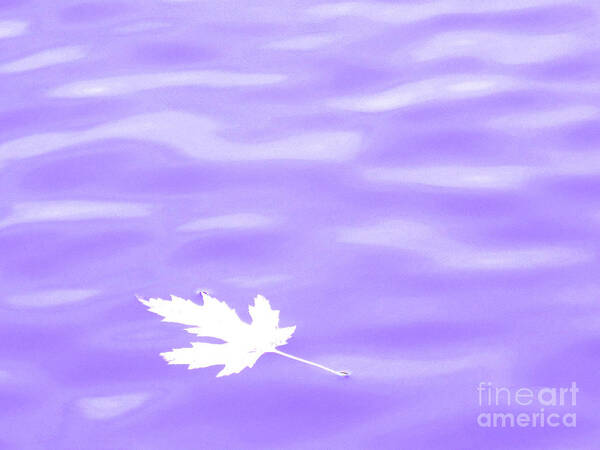 Water Art Print featuring the photograph Harmony by Sybil Staples