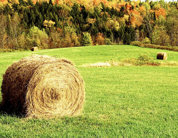 Hay Art Print featuring the photograph Autumn Hay Bales by Sherry Curry