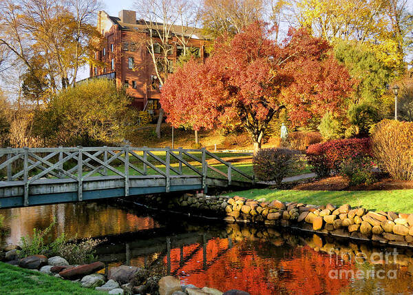 Autumn Art Print featuring the photograph Autumn in Brewster Gardens by Janice Drew