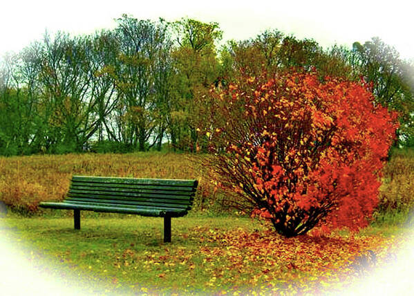 Autumn Art Print featuring the photograph Autumn in Minnesota by Pam Ellis