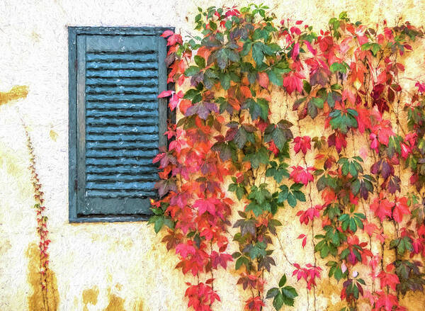 California Art Print featuring the photograph Autumn in Napa by David Letts