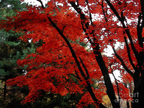 Autumn Art Print featuring the photograph Autumn in New England by Melissa A Benson