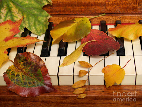 Piano Art Print featuring the photograph Autumn Leaves Tickle the Ivories by Anna Lisa Yoder
