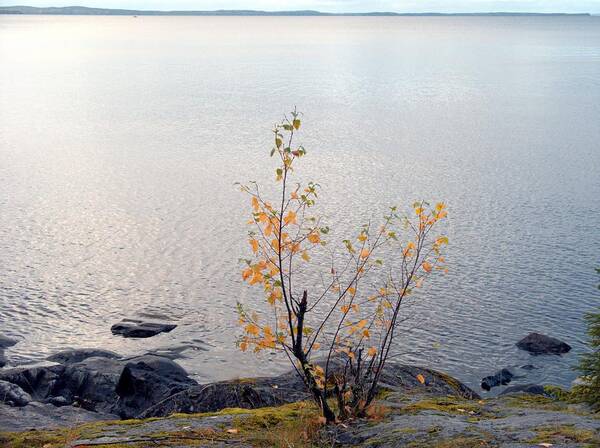 Landscape Art Print featuring the photograph Autumn view 3 by Sami Tiainen