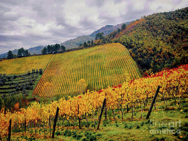 Italy Art Print featuring the photograph Autunno Italiano by Jennie Breeze