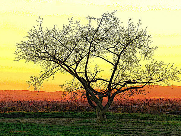 Tree Art Print featuring the photograph Azusa Sentinel by Pat Wagner