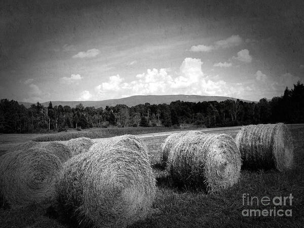 Bales Art Print featuring the photograph Bales in Monochrome by Onedayoneimage Photography