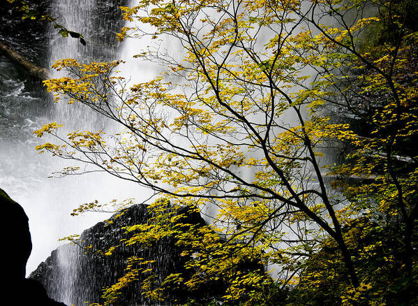 Waterfall Art Print featuring the photograph Base of the Falls. by Albert Seger