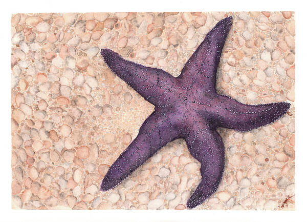 Starfish Art Print featuring the painting Beach Starfish by Hilda Wagner