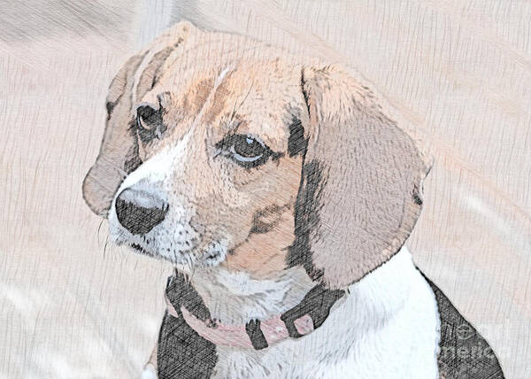 Beagles Art Print featuring the digital art Beagles are the Cutest by Sherry Hallemeier
