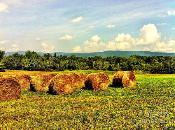 Bales Art Print featuring the photograph Beautiful Bales by Onedayoneimage Photography