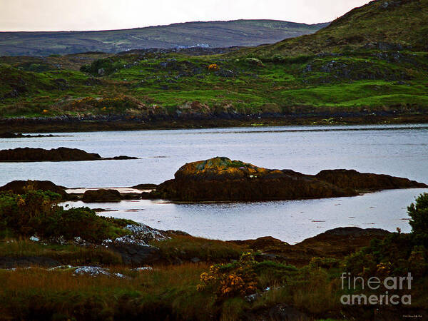 Fine Art Photography Art Print featuring the photograph Beauty on the Rocks by Patricia Griffin Brett