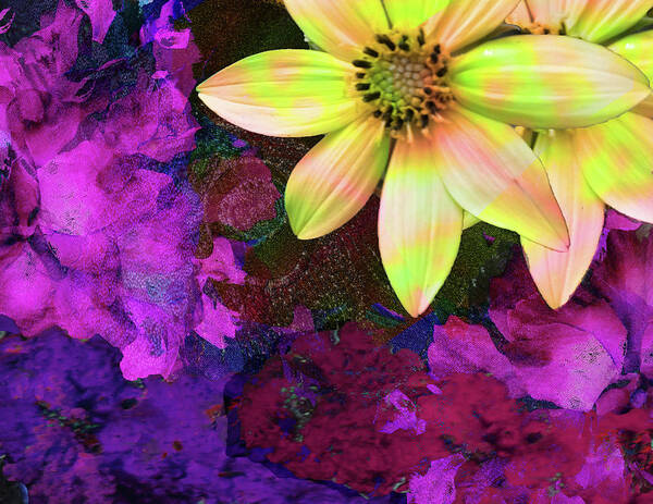 Flowers Art Print featuring the digital art Beginnings 2 - Contrasts by Rod Whyte
