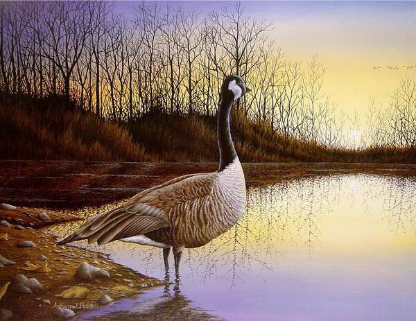 Goose Art Print featuring the painting Beyond the Horizon by Anthony J Padgett