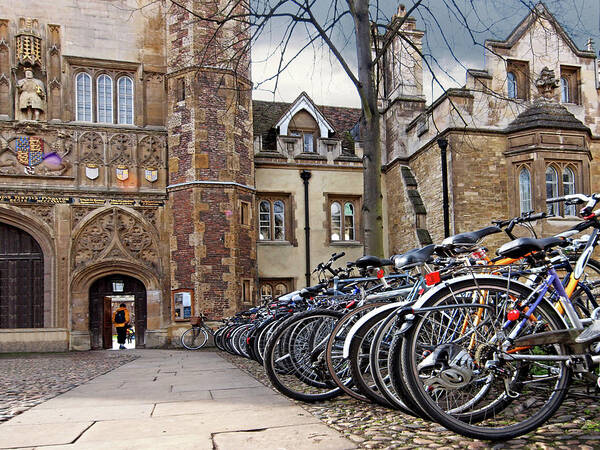 Bicycles Art Print featuring the photograph Bicycles at Trinity College Cambridge by Gill Billington