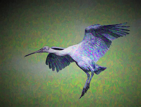 Roseate Art Print featuring the photograph Roseate Spoonbill, Artistic Version by Richard Goldman