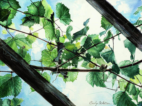 Landscape Art Print featuring the painting Biltmore Grapevines Overhead by Carolyn Coffey Wallace
