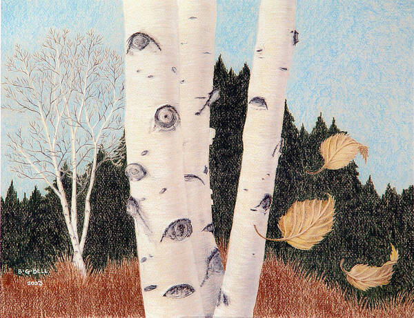 Birch Art Print featuring the painting Birches by Betsy Gray Bell