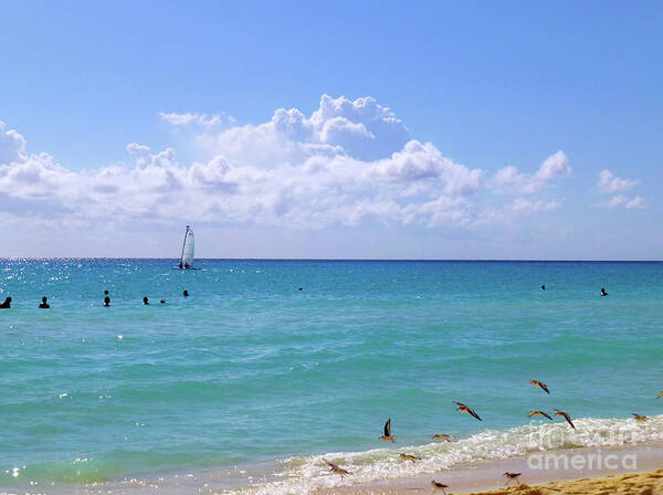 Beach Art Print featuring the photograph Birds on the beach M4 by Francesca Mackenney